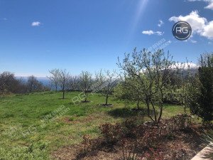 Миниатюра 9, 11-к дом, 298 м², Крым Республика, Алушта г., Кипарисное с., Алуштинская ул.