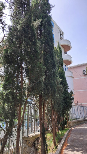 Миниатюра 17, 5 соток в Гаспре, 5 соток, Крым Республика, Гаспра п.г.т., Севастопольское ш., д.52