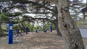 Миниатюра 18, 5 соток в Гаспре, 5 соток, Крым Республика, Гаспра п.г.т., Севастопольское ш., д.52