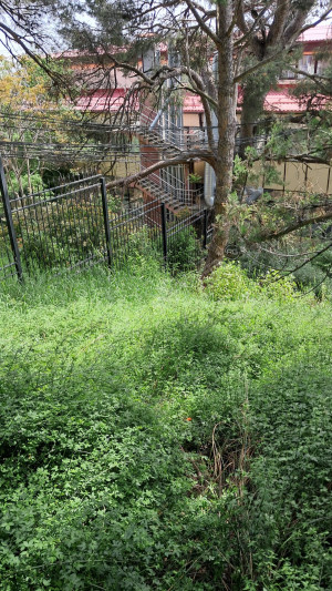 Миниатюра 3, 5 соток в Гаспре, 5 соток, Крым Республика, Гаспра п.г.т., Севастопольское ш., д.52