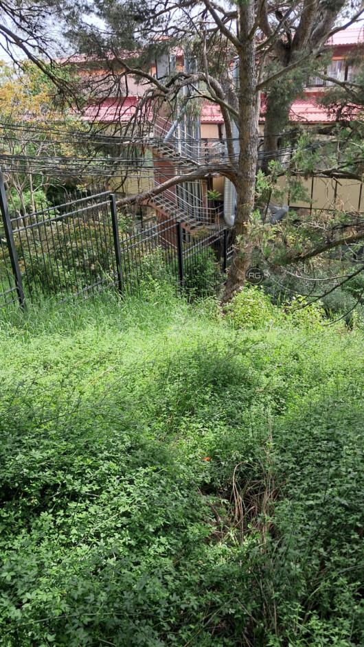 5 соток в Гаспре, 5 соток, Крым Республика, Гаспра п.г.т., Севастопольское ш., д.52