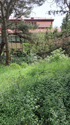 Миниатюра 4, 5 соток в Гаспре, 5 соток, Крым Республика, Гаспра п.г.т., Севастопольское ш., д.52