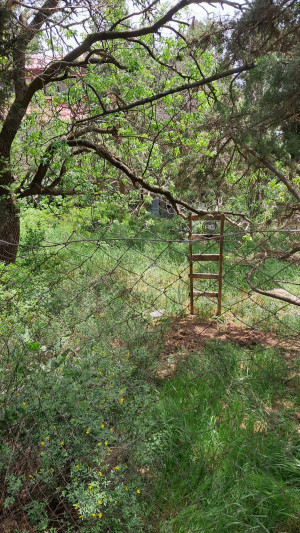 Миниатюра 7, 5 соток в Гаспре, 5 соток, Крым Республика, Гаспра п.г.т., Севастопольское ш., д.52