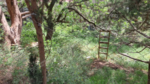 Миниатюра 8, 5 соток в Гаспре, 5 соток, Крым Республика, Гаспра п.г.т., Севастопольское ш., д.52