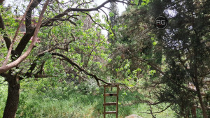 Миниатюра 9, 5 соток в Гаспре, 5 соток, Крым Республика, Гаспра п.г.т., Севастопольское ш., д.52