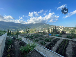 Миниатюра 5, Дом под отделку в Ялте, 220 м², Крым Республика, Ялта г., Нижнедарсановская ул.