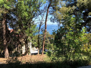 Миниатюра 4, Готовый бизнес на берегу моря, 847,7 м², Крым Республика, Алушта г., Набережная ул.