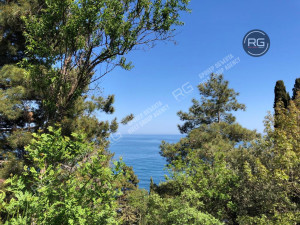 Миниатюра 5, Готовый бизнес на берегу моря, 847,7 м², Крым Республика, Алушта г., Набережная ул.