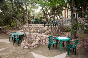 Миниатюра 9, Готовый бизнес с видом на море и горы. Алупка, 330 м², Крым Республика, Ялта г., Алупка г., Свободы ш., д.14в