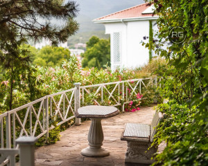 Миниатюра 18, Готовый бизнес в Алуште, 3 150 м², Крым Республика, Алушта г., Партизанская ул., д.17