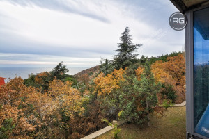 Миниатюра 17, Коттедж под отделку в Ай-Даниле, 639 м², Крым Республика, Ялта г., Даниловка п., Тенистая ул., д.3в