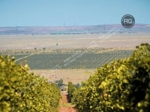 Миниатюра 19, Премиум-апартаменты в Крыму!, 64 м², Крым Республика, Коктебель п.г.т., Арматлукская ул., д.2, к.1