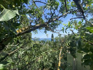 Миниатюра 11, ПРОДАЕТСЯ УЧАСТОК В ПГТ МАССАНДРА 6 СОТОК, 6 соток, Крым Республика, Ялта г., Массандра п.г.т., Мира ул.