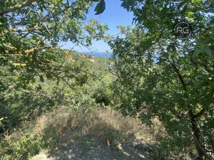 Миниатюра 14, ПРОДАЕТСЯ УЧАСТОК В ПГТ МАССАНДРА 6 СОТОК, 6 соток, Крым Республика, Ялта г., Массандра п.г.т., Мира ул.