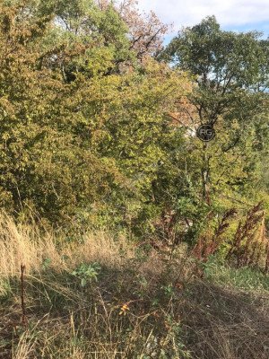 Миниатюра 5, ПРОДАЕТСЯ УЧАСТОК В ПГТ МАССАНДРА 6 СОТОК, 6 соток, Крым Республика, Ялта г., Массандра п.г.т., Мира ул.