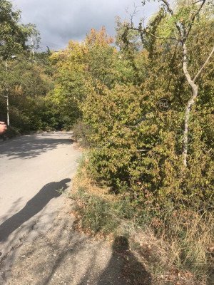 Миниатюра 6, ПРОДАЕТСЯ УЧАСТОК В ПГТ МАССАНДРА 6 СОТОК, 6 соток, Крым Республика, Ялта г., Массандра п.г.т., Мира ул.