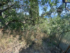 Миниатюра 10, ПРОДАЕТСЯ УЧАСТОК В ПГТ МАССАНДРА 6 СОТОК, 6 соток, Крым Республика, Ялта г., Массандра п.г.т., Мира ул.