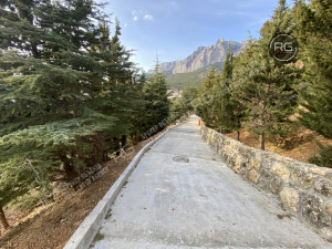 Миниатюра 6, Супервидовой участок в Кореизе, 26 соток, Крым Республика, Ялта г., Кореиз п.г.т., Кореизское ш., д.10