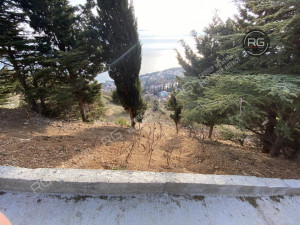 Миниатюра 7, Супервидовой участок в Кореизе, 26 соток, Крым Республика, Ялта г., Кореиз п.г.т., Кореизское ш., д.10