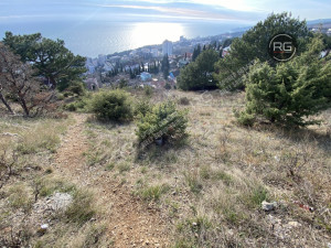 Миниатюра 8, Супервидовой участок в Кореизе, 26 соток, Крым Республика, Ялта г., Кореиз п.г.т., Кореизское ш., д.10