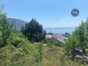 Миниатюра 1, Участок 15 сот. (ИЖС), 15 соток, Крым Республика, Ялта г.