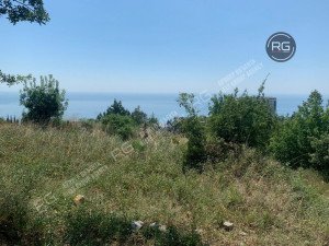 Миниатюра 3, Участок 15 сот. (ИЖС), 15 соток, Крым Республика, Ялта г.