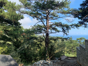 Миниатюра 2, Участок 16 сот. (ИЖС), 16 соток, Крым Республика, Ялта г.