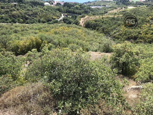 Участок, 6,5 соток, Крым Республика, Ялта г., Гурзуф п.г.т., А.Гайдара ул.