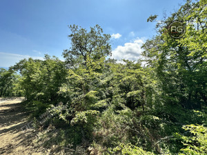 Миниатюра 14, Участок, 8 соток, Крым Республика, Ялта г., Гурзуф п.г.т., Гайдара ул.