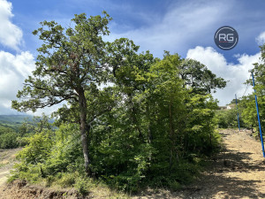 Миниатюра 5, Участок, 8 соток, Крым Республика, Ялта г., Гурзуф п.г.т., Гайдара ул.