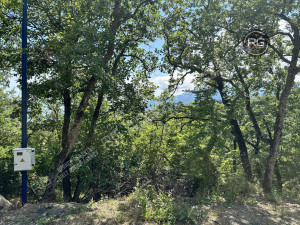 Миниатюра 6, Участок, 8 соток, Крым Республика, Ялта г., Гурзуф п.г.т., Гайдара ул.