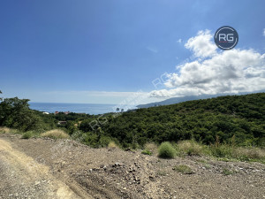 Миниатюра 8, Участок, 8 соток, Крым Республика, Ялта г., Гурзуф п.г.т., Гайдара ул.