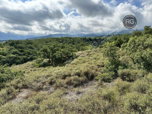 Миниатюра 7, Участок, 10 соток, Крым Республика, Ялта г., Гурзуф п.г.т., Гайдара ул.