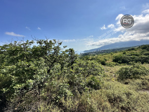 Миниатюра 8, Участок, 10 соток, Крым Республика, Ялта г., Гурзуф п.г.т., Гайдара ул.