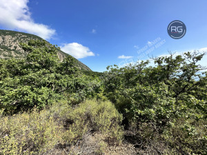 Миниатюра 9, Участок, 10 соток, Крым Республика, Ялта г., Гурзуф п.г.т., Гайдара ул.