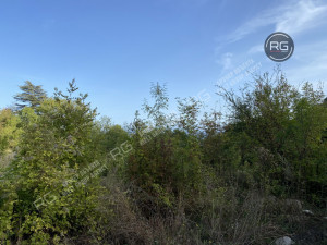 Миниатюра 6, Участок, 13 соток, Крым Республика, Алушта г., Запрудное с., Садовый пер., д.9а