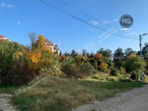 Миниатюра 1, Участок 46 сот. (ИЖС), 46 соток, Крым Республика, Ялта г.