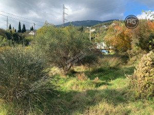 Миниатюра 11, Участок 46 сот. (ИЖС), 46 соток, Крым Республика, Ялта г.