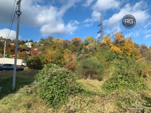 Миниатюра 4, Участок 46 сот. (ИЖС), 46 соток, Крым Республика, Ялта г.