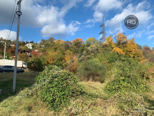 Участок 46 сот. (ИЖС), 46 соток, Крым Республика, Ялта г.