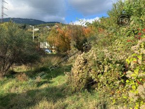 Миниатюра 7, Участок 46 сот. (ИЖС), 46 соток, Крым Республика, Ялта г.