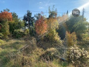 Миниатюра 10, Участок 46 сот. (ИЖС), 46 соток, Крым Республика, Ялта г.