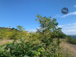 Миниатюра 5, Участок 8,5 сот. (ИЖС), 8,5 соток, Крым Республика, Ялта г.