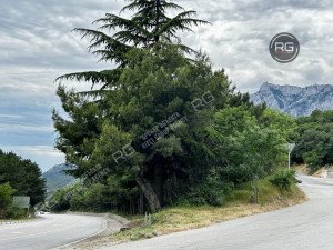 Миниатюра 1, Участок ИЖС на ЮБК, 48 соток, Крым Республика, Гаспра п.г.т., Горького ул., д.21