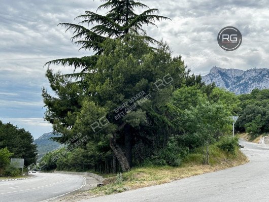 Участок ИЖС на ЮБК, 48 соток, Крым Республика, Гаспра п.г.т., Горького ул., д.21