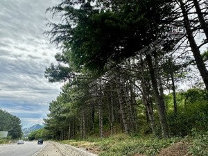 Миниатюра 2, Участок ИЖС на ЮБК, 48 соток, Крым Республика, Гаспра п.г.т., Горького ул., д.21