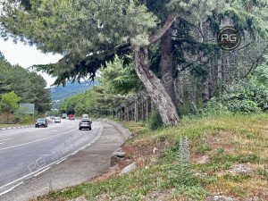 Миниатюра 4, Участок ИЖС на ЮБК, 48 соток, Крым Республика, Гаспра п.г.т., Горького ул., д.21