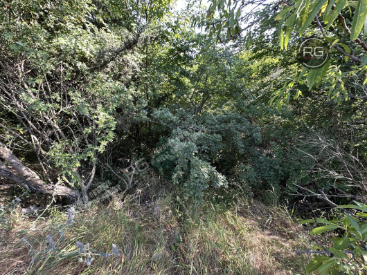 Участок под коммерцию на ЮБШ, 15 соток, Крым Республика, Гурзуф п.г.т., Ялтинская ул.