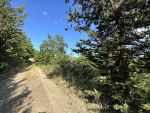 Миниатюра 6, Участок под коммерцию на ЮБШ, 15 соток, Крым Республика, Гурзуф п.г.т., Ялтинская ул.