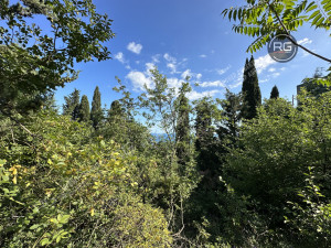 Миниатюра 8, Участок под коммерцию на ЮБШ, 15 соток, Крым Республика, Гурзуф п.г.т., Ялтинская ул.